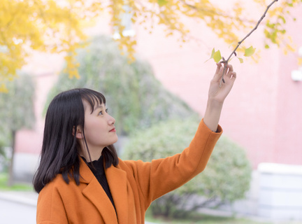 菲律宾黑名单查询的快速方法介绍